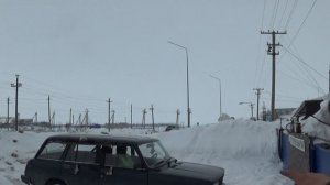 Как заставить николаевских  голубей летать после долгого  перерыва.Татарстан г.Нурлат