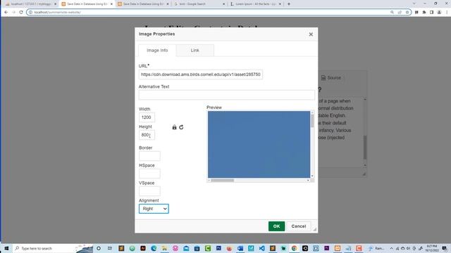 CkEditor Save Data And Images to Database смотреть онлайн