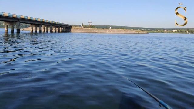 Ловили плотву на поплавок, а увидели ТОЛСТОЛОБА на ультралайт. смотреть онлайн