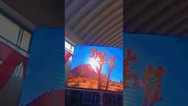 Shree Digital Bhusawal