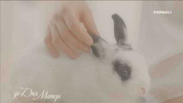 Усе починається з мами... смотреть онлайн