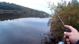 Спиннинг Crazy fish Perfect Jig 76 ul-ss. Ловля окуня в августе.