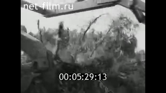1972г. Белозерск. леспромхоз. Вологодская обл смотреть онлайн