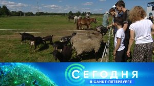 «Сегодня в Санкт-Петербурге»: 22 июля 2024 года