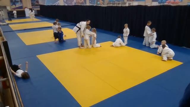 Тренировки младшей группы дзюдо 10.01.2023 (16:30) смотреть онлайн