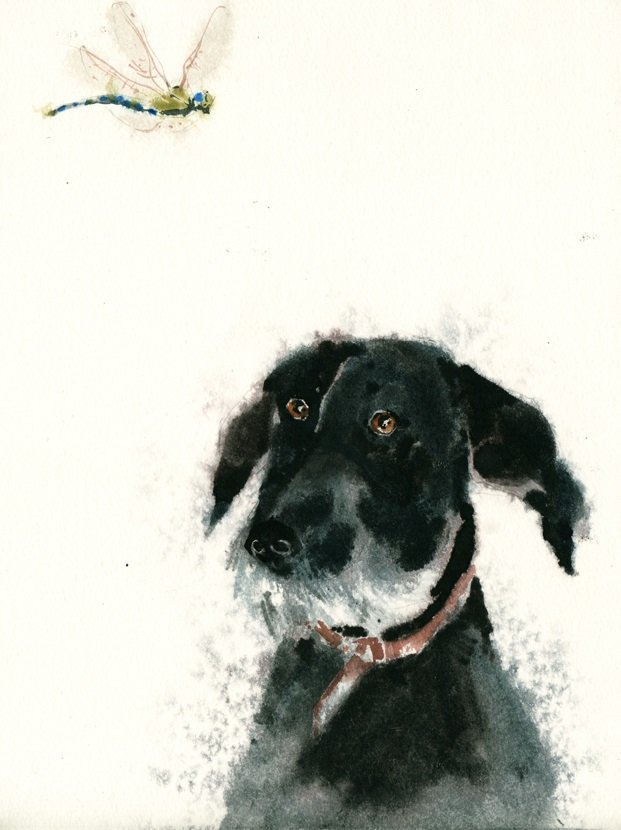 Портрет пса в несколько касаний акварелью. Рисует художник-иллюстратор Татьяна Глущенко смотреть онлайн