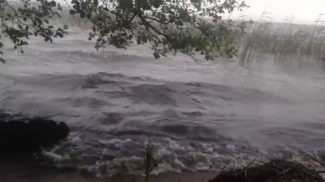 Сестрорецкий разлив смотреть онлайн