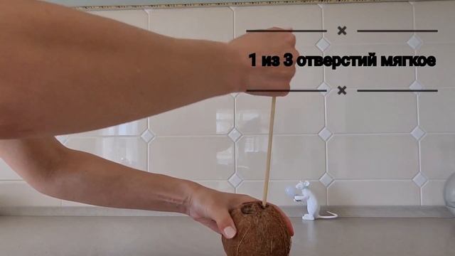 Открыть кокос. Open coconut . Кокосовая вода. Одно из отверстий мягкое смотреть онлайн