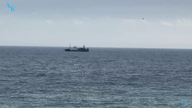 За рыбой... Мисхор. 14.12.2023г. смотреть онлайн