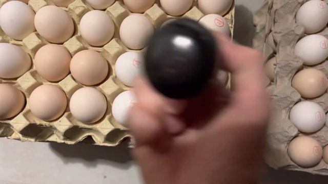 Olu zīmogs. Штамп для яиц. Egg seal. смотреть онлайн