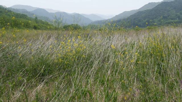 Dvorak : Violin Concerto In A Minor  -  III. Finale - Allegro Giocoso, Ma Non Troppo