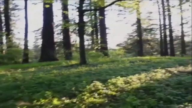 АИГЕЛ - Тебе Кажется смотреть онлайн