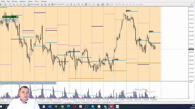 Живая торговля с Виктором Брилевым смотреть онлайн