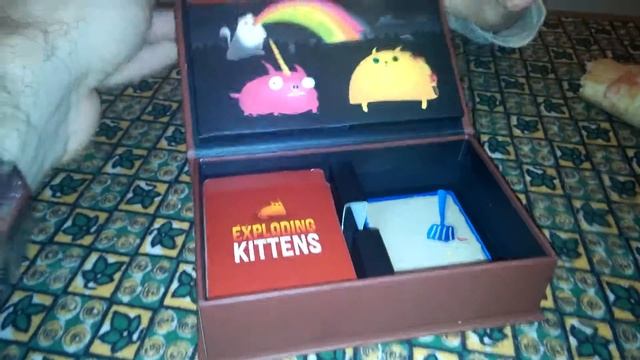Exploding kittens смотреть онлайн
