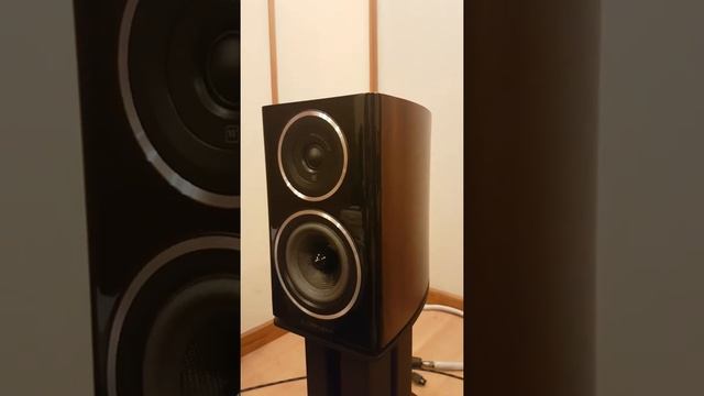 Wharfedale Diamond11.1 смотреть онлайн