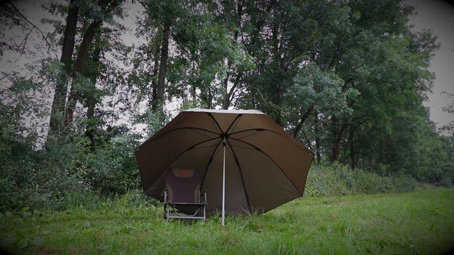 FOX BROLLY 60 смотреть онлайн
