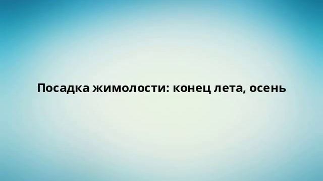 Посадка жимолости: конец лета, осень смотреть онлайн