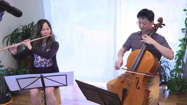 "Death Trip Serenade" or "String Nocturne" from 聖闘士星矢 Saint Seiya for flute & cello cover смотреть онлайн
