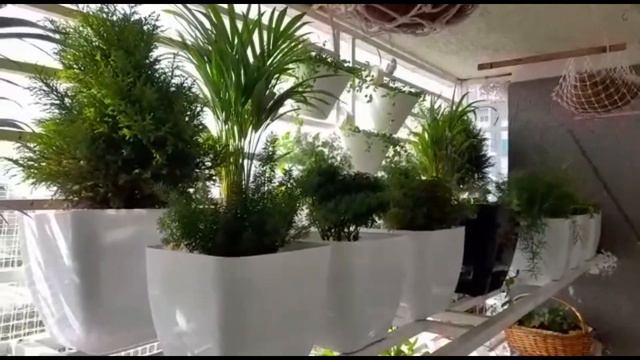 Balcony Garden