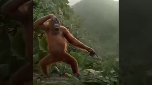 Дни недели😂😂😂😂😂 смотреть онлайн