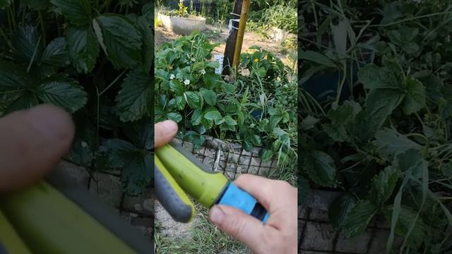 Чем отличается коннектор для шланга с аквастопом и без него? Наглядно показываю и рассказываю)