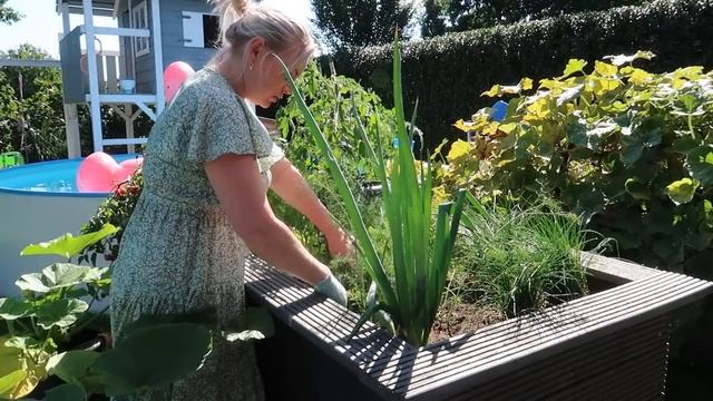 VLOG??: Посылка в Россию??/ вкусная творожная запеканка ?/ готовим, стираем, отдыхаем смотреть онлайн