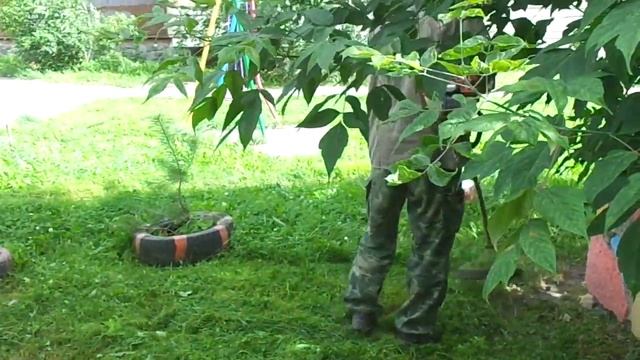 Echo GT22-GES в работе.