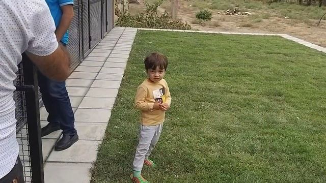 #BAKU. #PIGEONS. Голуби Назим Дадашева(Новханы) в Баку 30.08.19г смотреть онлайн