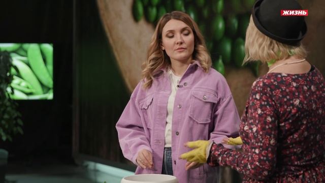 Горох на балконе и в огороде. Овощной и сахарный - какой вкуснее? смотреть онлайн