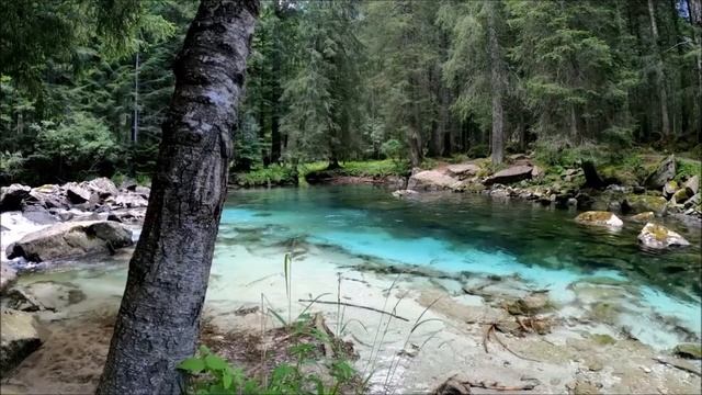 Лесные ручьи и озерцо: Природная Гармония