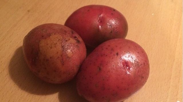 1000 и 1 рецепт