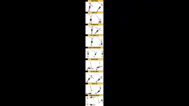 Полный комплекс упражнений с функциональными петлями TRX. смотреть онлайн