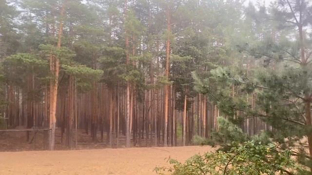 Vlog: Санаторий Чувашия смотреть онлайн