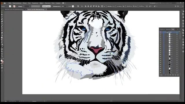 The handsome tiger in Adobe illustrator (Красавец тигр в Адоб иллюстраторе) смотреть онлайн