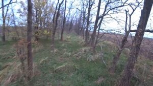 Как охотится на зайца без собаки! Советы по поиску. Охота с ИЖ-27.