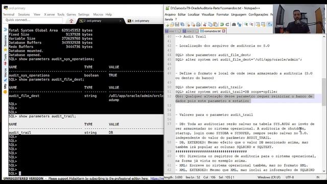 Auditoria Oracle - Parâmetro audit_trail e auditoria do usuário SYS смотреть онлайн