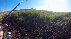 Рыбалка в Ставропольском Крае. Река Егорлык, крупная щука перекусила поводок.