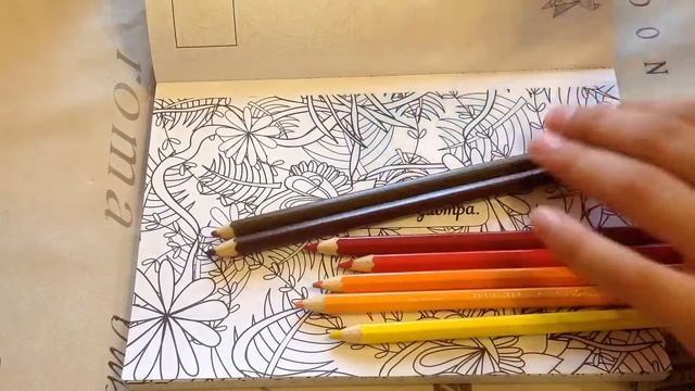 Раскраска-антистресс. 50 позитивных идей для раскраски и отправки. Обзор на раскраску. смотреть онлайн