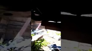 Про затяжку торсионов, и болтов пятки торсиона. Ниссан Террано 21 кузов