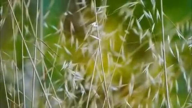 У невестки и мать, и сестра ни дня не работали, она из декрета не торопится выходить, запросы расту смотреть онлайн