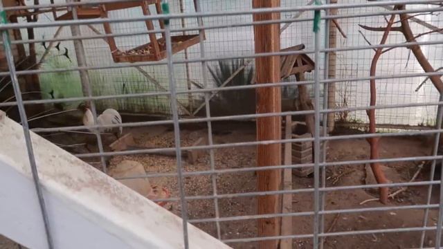 Подарочки от Лёши на день рожденья