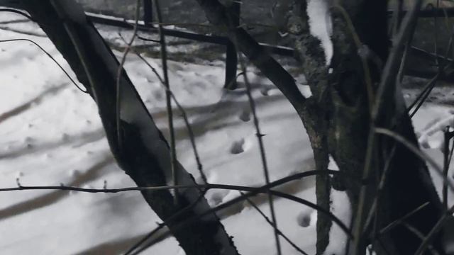 VID 20230220 194554 Зарезанная голова и фонтан...(Гийом Аполлинер)...Павел Васильев Лахтинский смотреть онлайн