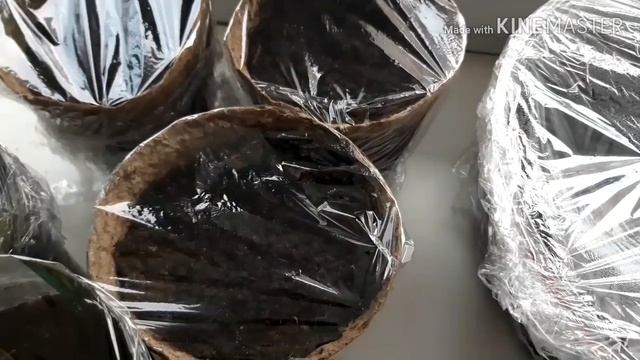 #Стимуляторроста-НВ-101 Стимулятор роста растений НВ-101 смотреть онлайн