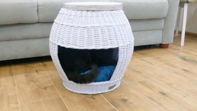 Тумба-домик плетёная EcoSpider White смотреть онлайн