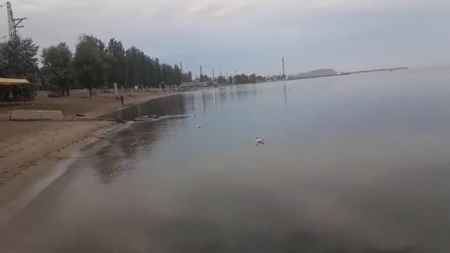 13.07.20 Мариуполь Азовское море Чайки смотреть онлайн
