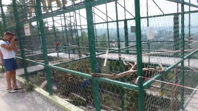 Сафари Парк Геленджик. Архипо-Осиповка. Отпуск. смотреть онлайн
