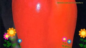 Перец сладкий Виктория. Краткий обзор, описание характеристик, где купить саженцы, семена Victoria