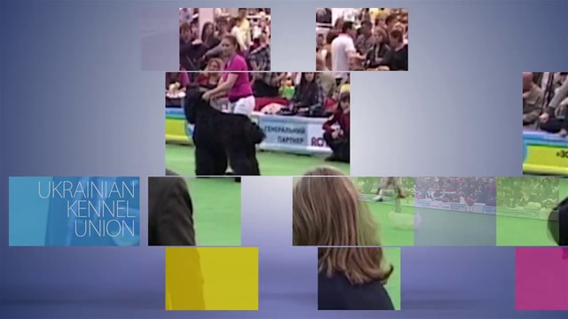 Euro Dog Show 2017 Kyiv