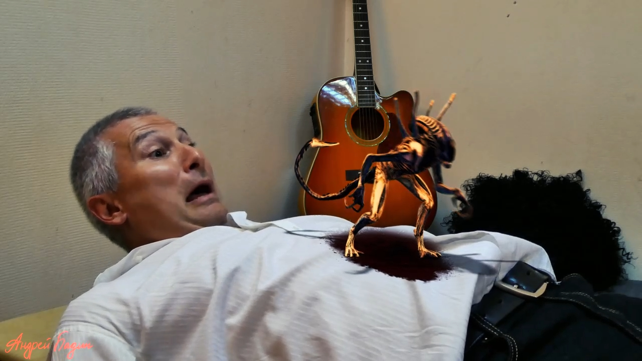 Я  СВОБОДЕН 