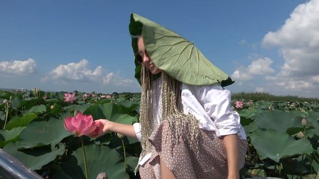 #АНАПА Долина индийских Лотосов ? Live 235 смотреть онлайн